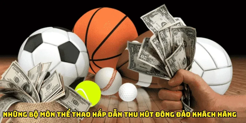 Những bộ môn thể thao hấp dẫn thu hút đông đảo khách hàng