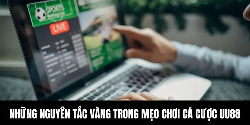 Những nguyên tắc vàng trong mẹo chơi cá cược UU88